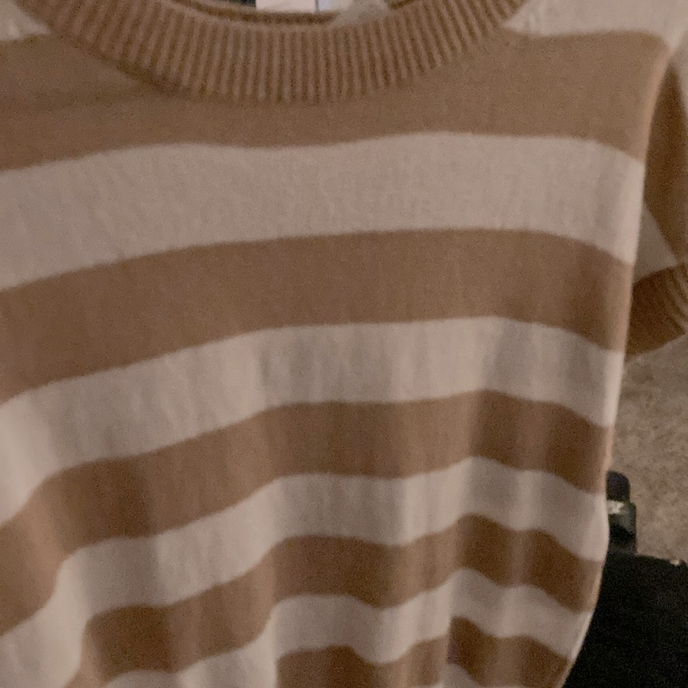 Stylus Beige And White Short Sleeve Sweater